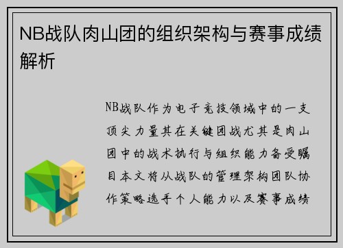 NB战队肉山团的组织架构与赛事成绩解析